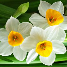 Cross stitch pattern: #3035113