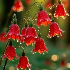 Cross stitch pattern: #3036701