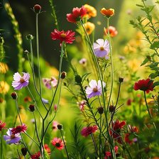 Cross stitch pattern: #3037119