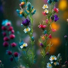 Cross stitch pattern: #3037121