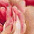 Preview of cross stitch pattern: #3037558