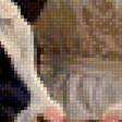 Preview of cross stitch pattern: #3037566