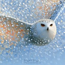 Cross stitch pattern: #3037922