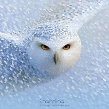 Cross stitch pattern: #3037923