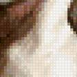 Preview of cross stitch pattern: #3038283