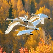Cross stitch pattern: #3038421