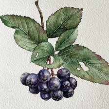 Cross stitch pattern: #3038558