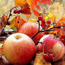 Cross stitch pattern: #3038755