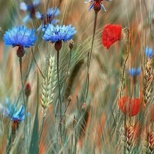 Cross stitch pattern: #3038993