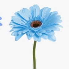Cross stitch pattern: #3039499