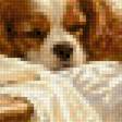 Preview of cross stitch pattern: #3039738