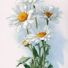 Cross stitch pattern: #3040096