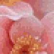Preview of cross stitch pattern: #3041325