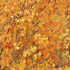 Cross stitch pattern: #3041695