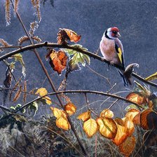 Cross stitch pattern: #3041713