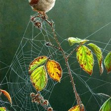 Cross stitch pattern: #3041715