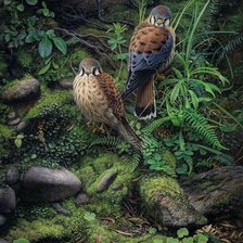Cross stitch pattern: #3041777