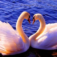 Cross stitch pattern: #3043363