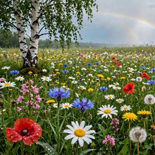 Cross stitch pattern: #3043625