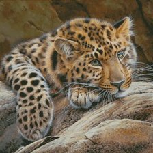 Cross stitch pattern: #3043732