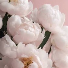 Cross stitch pattern: #3046480